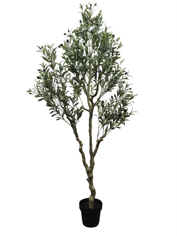 Kunstig Oliventræ med frugt 180cm (2 stk )